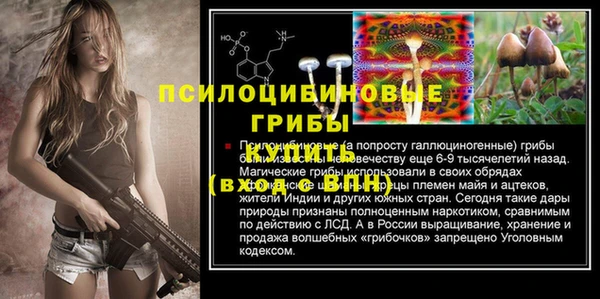 мяу мяу мука Абинск