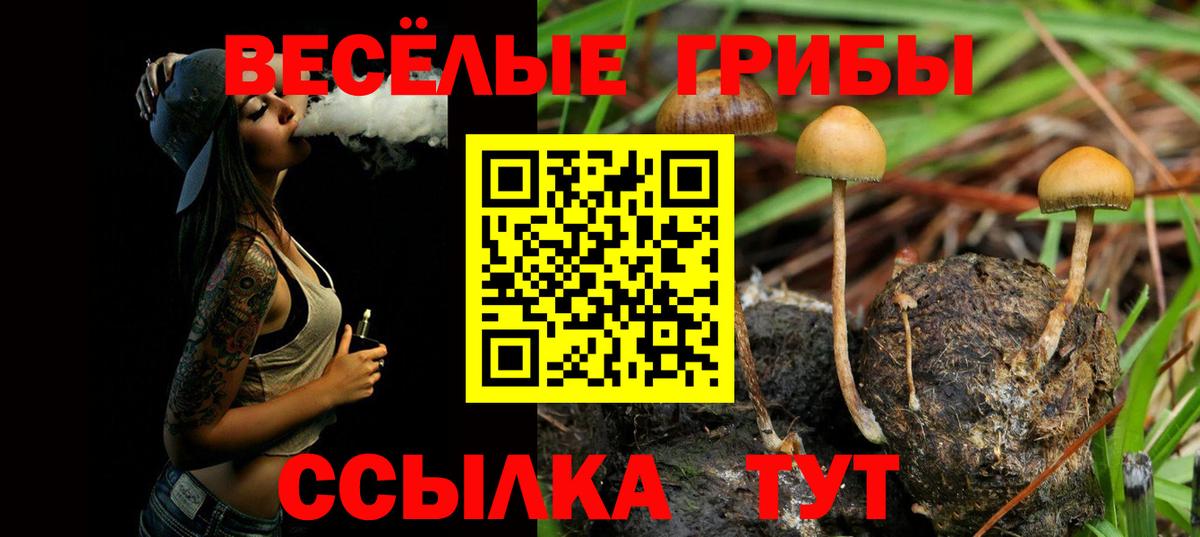 Галлюциногенные грибы мицелий Азнакаево
