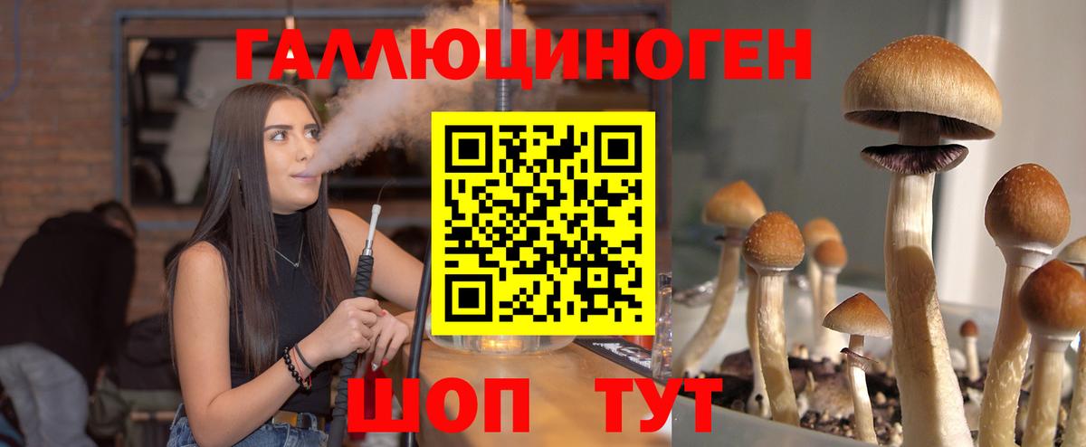 Псилоцибиновые грибы мицелий  Вход с VPN  Галлюциногенные грибы ЛСД  Азнакаево 